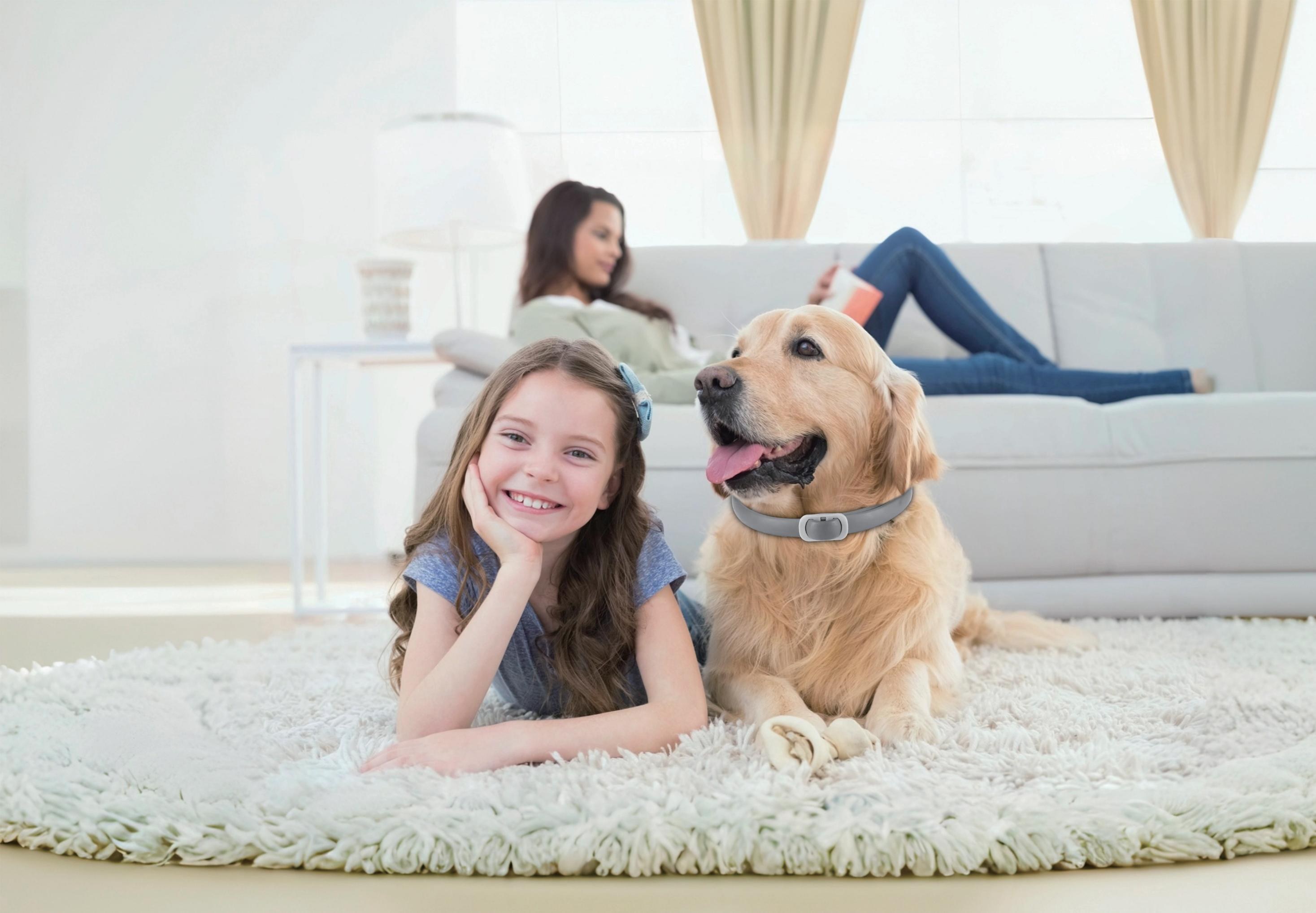 Girl and golden retriever wearing the collar, resting together on a couch