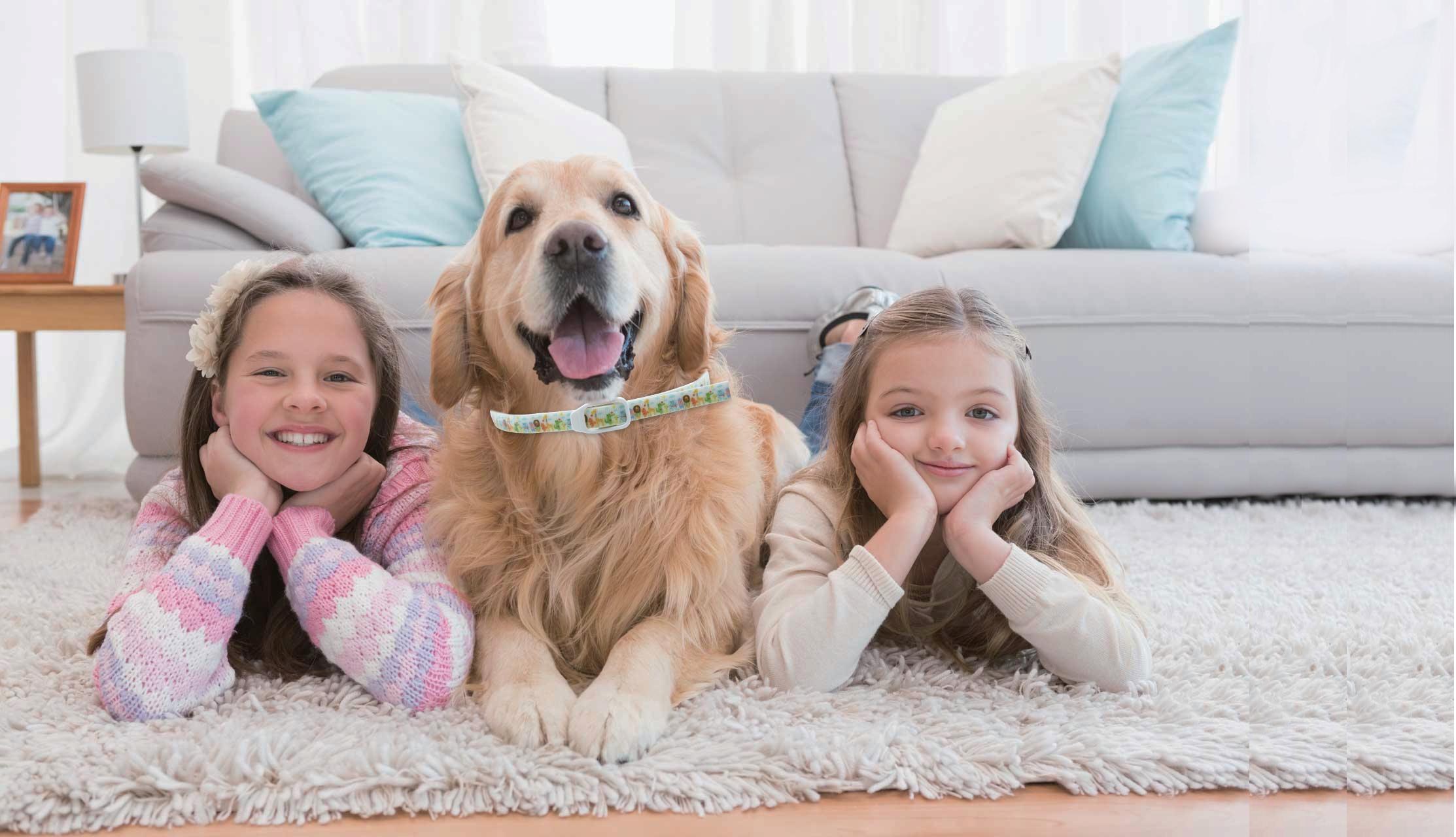 Two children and a dog wearing the collar, playing together on a rug